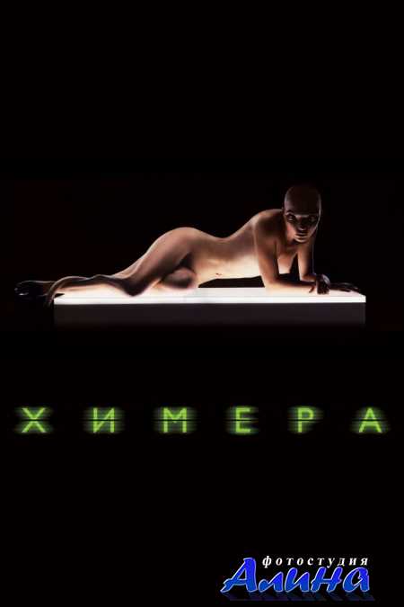 ������ / Splice