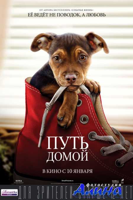 ���� ����� / A Dog's Way Home