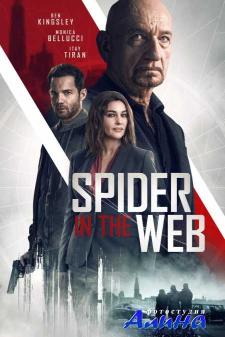 ������ ��������� ���� / Spider in the Web