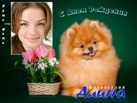 ����� ��� ���������� - �������� ���� � �������