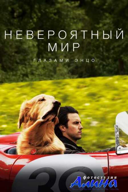 ����������� ��� ������� ���� / The Art of Racing in the Rain