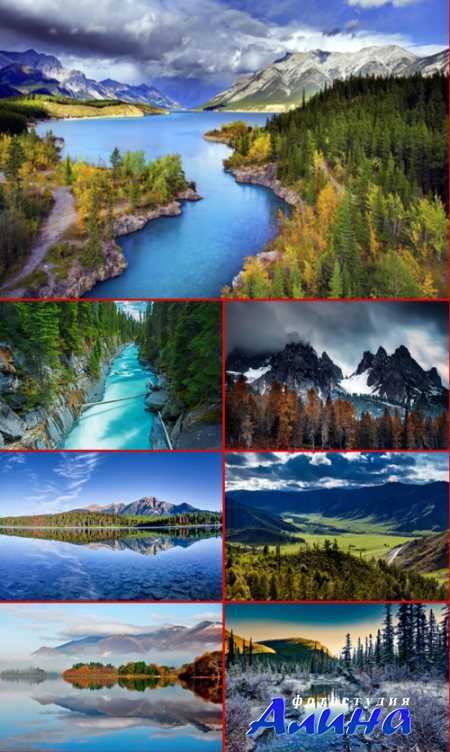 HQ ���� �������� �������. ����� 117