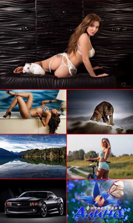 ��������������� ���� ��� �������� ����� #255