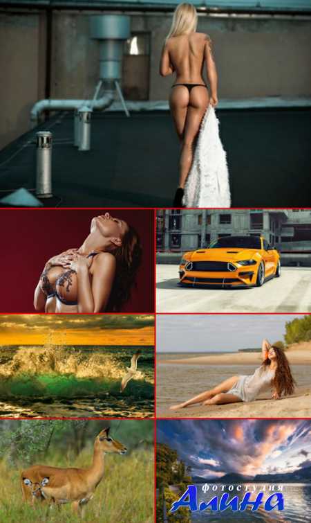 HQ ���� ��� �������� �����. ����� 689