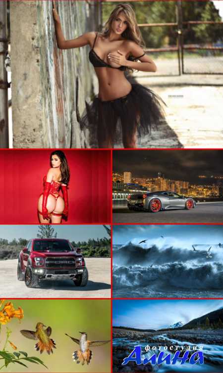 ��������������� ���� ��� �������� ����� #260