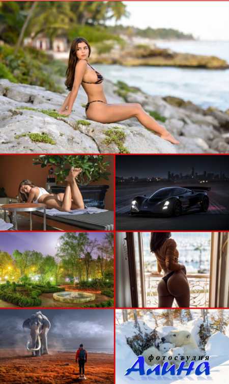 HQ ���� ��� �������� �����. ����� 695