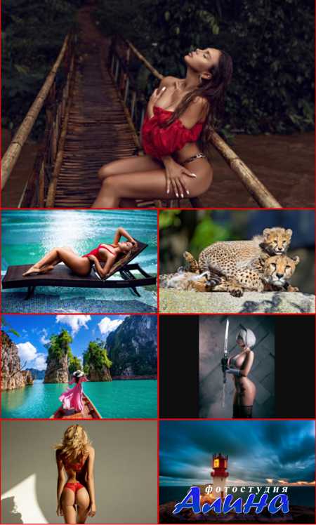 ��������������� ���� ��� �������� ����� #268