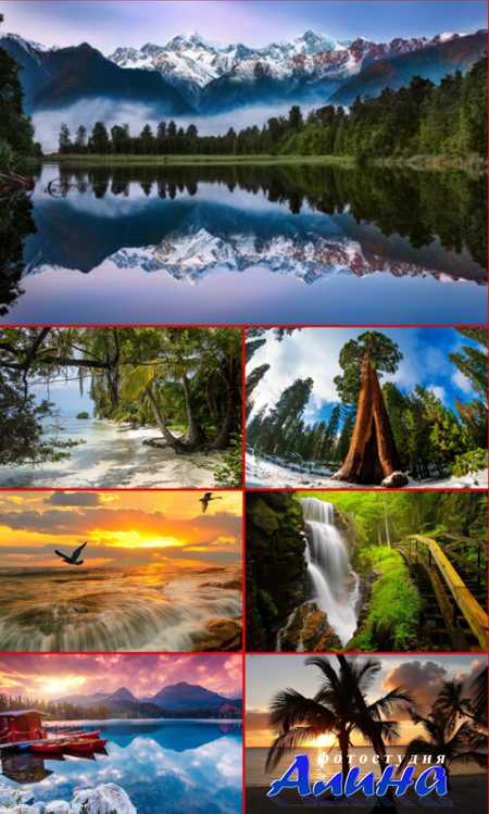 HQ ���� �������� �������. ����� 123