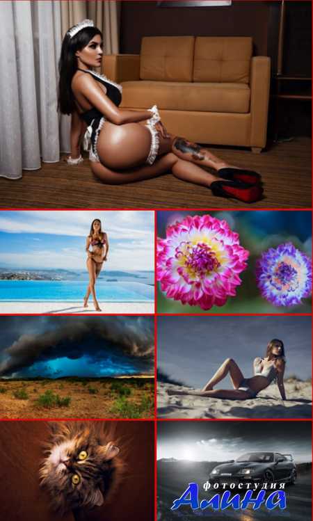 New best wallpapers pack #88