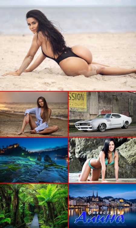 ��������������� ���� ��� �������� ����� #264