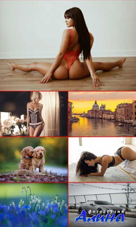 ��������������� ���� ��� �������� ����� #262