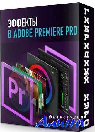 Эффекты Adobe Premiere Pro - Гибридный курс