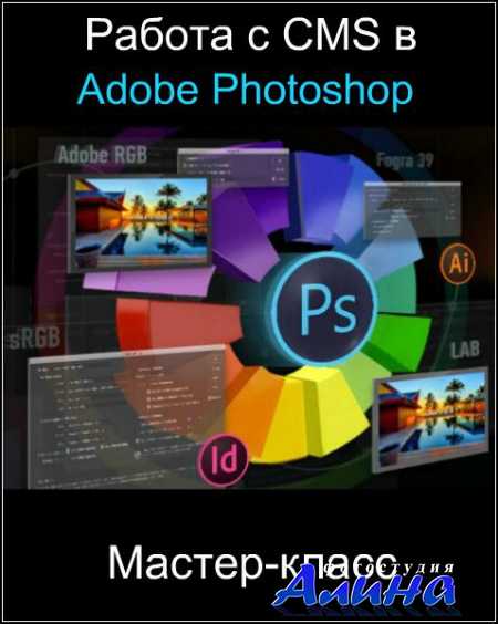 Андрей Журавлев - Работа с CMS в Adobe Photoshop