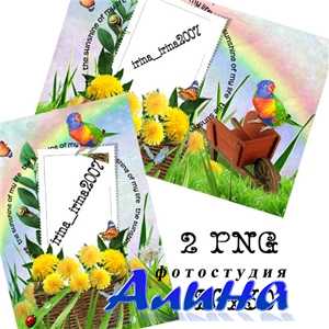 ����� ��� �������� � � ������������ � ��������